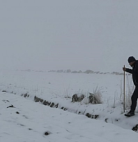 Ekipler kayıp kadını bulmak için seferber oldu