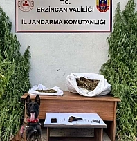 Erzincan'da kenevir operasyonu