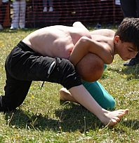 Erzurum Ovası'nda güreş festivali