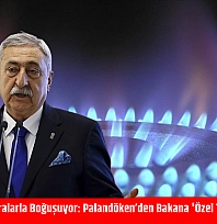 Esnaf Yüksek Faturalarla Boğuşuyor: Palandöken'den Bakana 'Özel Tarife Şart' Çağrısı