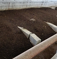 Evinin bahçesinde üretti: Gelir kapısı haline geldi…