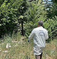 Malatya'da 71 yaşındaki adam ağaca asılı halde bulundu