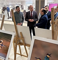 'Gaziantep'in Kuşları' sergisi açıldı
