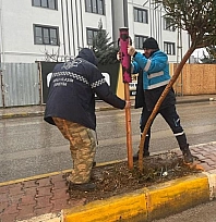 Genç fidanlar koruma altına alındı