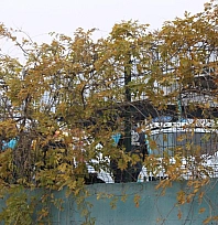 Geri dönüşüm tesisindeki koku ekipleri harekete geçirdi