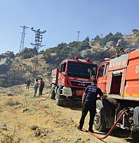 Gölbaşı'nda orman yangını