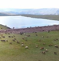 Gölet yapımında Türkiye'ye örnek oldu