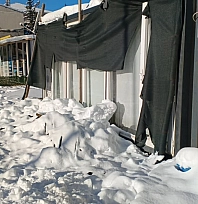 Gölgelikler kar ağırlığına dayanamadı