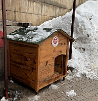 Gönüllülerde sokak hayvanları için barınak ve mama desteği