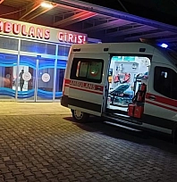 Hafif ticari araç yayaya çarptı: 1 ağır yaralı