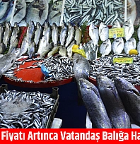 Hamsinin fiyatı artınca vatandaş balığa hasret kaldı