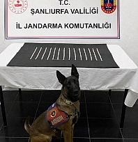 Harran'da uyuşturucu operasyonu: 2 gözaltı