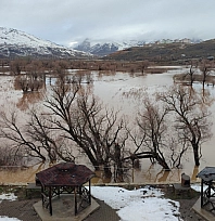 Havşeri Çayı'nın taşması sonucu tarım arazileri zarar gördü