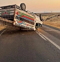 Hayvan yüklü kamyonet devrildi