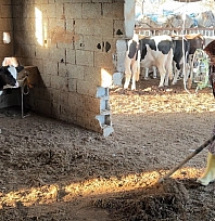 Hayvancılıkla uğraşırken çocukların ilk öğretmeni oldu