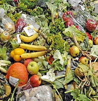 Her yıl 2,3 milyar ton gıda israf ediliyor!