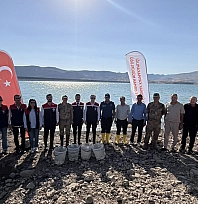 Ilısu Baraj Gölü'ne 800 bin yavru şabut balığı bırakıldı