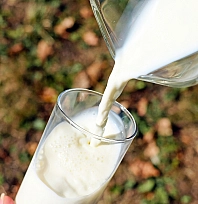 İnek sütü üretiminde kırmızı alarm!