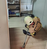 İş yerine giren yılan paniğe neden oldu