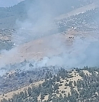 Kahramanmaraş'ta orman yangını