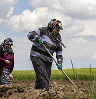 Kale'de çiftçilere bilgilendirme toplantısı düzenlendi