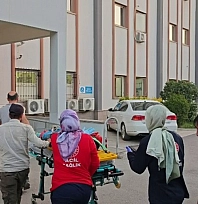 Kamyonet devrildi: 6 yaralı