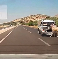 Kamyonetin çarptığı eşek metrelerce havaya fırladı