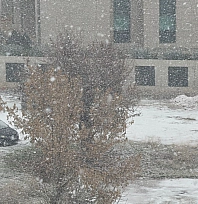 Kar yağışı etkili oluyor