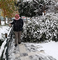 Kar yağışı nedeniyle ağaç devrildi