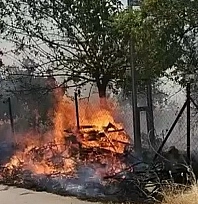 Karadağ Ormanlık alanda çıkan yangın korkuttu