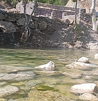 Karasu Vadisi, serin sularıyla doğaseverlerin gözdesi