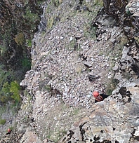 Kayalıklarda mahsur kalan keçiler kurtarıldı