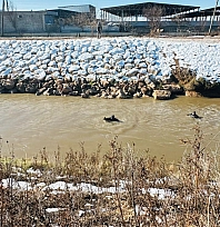 Kayıp sürücüyü arama çalışması devam ediyor