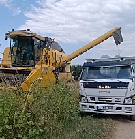 Kayısı diyarında ayçiçeği bereketi: Rekoltenin dekar başına 300 kiloyu aşması bekleniyor