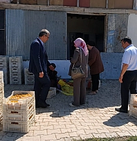 Kayısı tartışması büyüyor: BBP İl Başkanı Duman, asıl tehlilkeyi işaret etti!