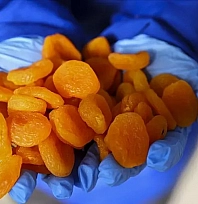 Kayısıda rekolte açıklanmayacaktı! Rakamları sızdırdılar… Sorumlusu kim?