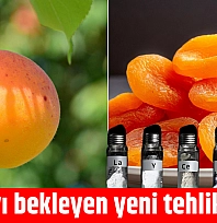 Kayısıyı bekleyen yeni tehlike: NTE!