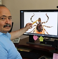 Kene ısırığını fark etmeyebilirsiniz!