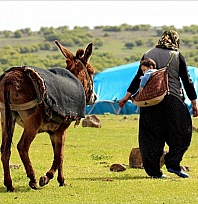 Kırsalda yaşayanların nüfusu azalıyor