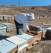 Kışa hazırlanan üreticiden sahte bal uyarısı