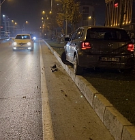 Köpeğe Çarpan Otomobil Kontrolden Çıkıp Refüje Çarptı