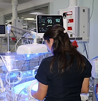 Küçük bedenleriyle büyük yaşam mücadelesi veriyorlar