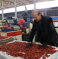 Kuşburnu hasadı başladı