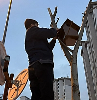 Kuşun donarak ölmesi tüm mahalleyi harekete geçirdi!