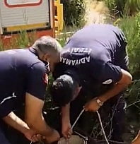 Kuyuya düşen yavru kediyi itfaiye kurtardı