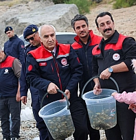 Malatya'da 1,3 milyon sazan suya bırakıldı