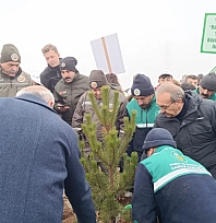 Malatya'da 10 bin 444 fidan toprakla buluştu
