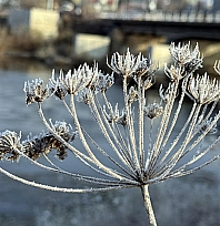 Malatya'da 19 Kasım'da hava nasıl olacak? Yağış ve rüzgar uyarısı var mı?