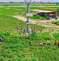 Malatya'da 2026 yılı salçalık domates fiyatları