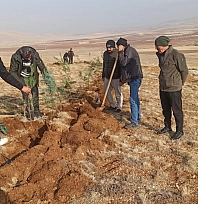 Malatya'da 3 bin fidan toprakla buluştu